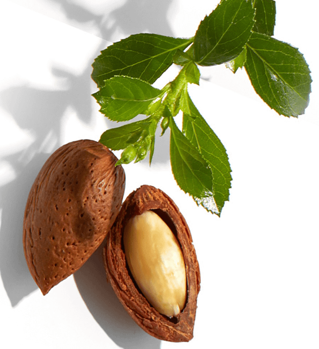 Huile de jojoba
