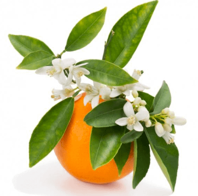 Fleur Oranger